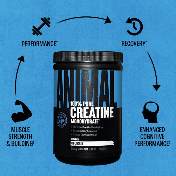 Animal Micronized Creatine Monohydrate Powder 100 Servings