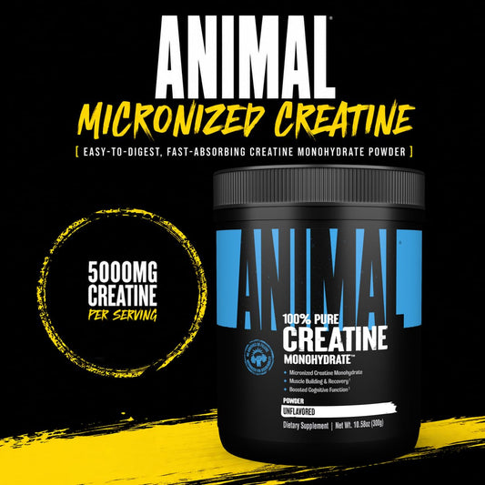 Animal Micronized Creatine Monohydrate Powder 60 Servings