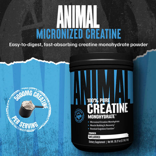 Animal Micronized Creatine Monohydrate Powder 100 Servings