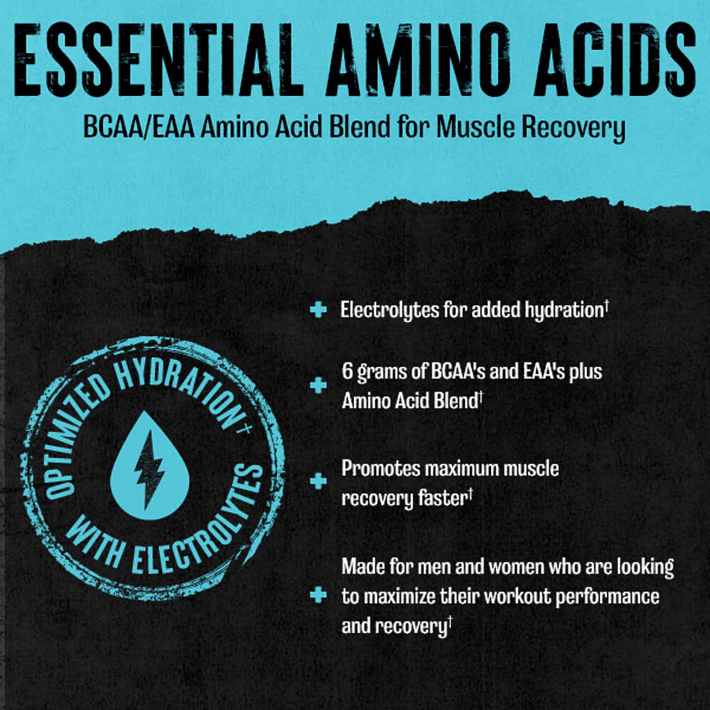 Animal Juiced Aminos + Hydration